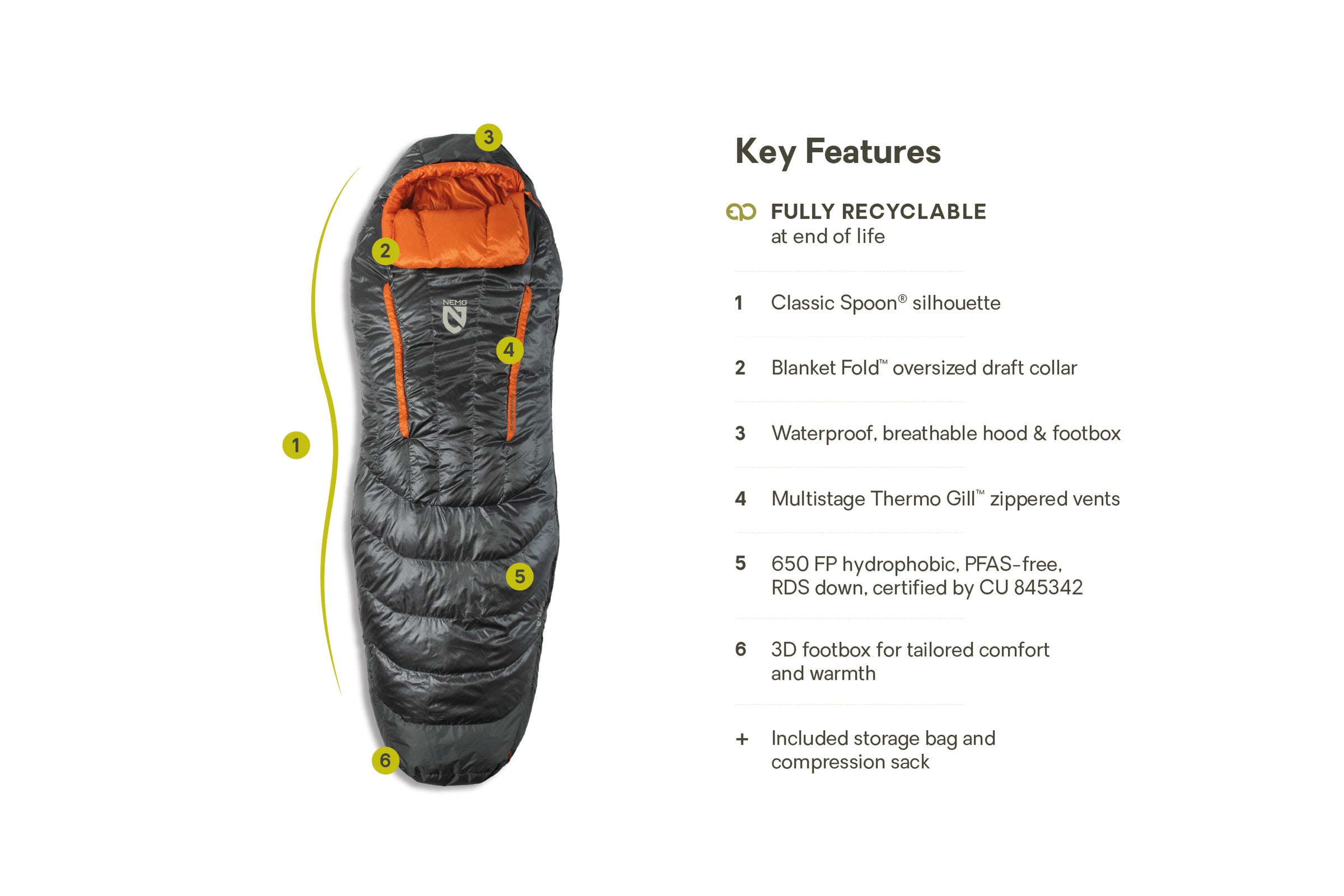 Disco™ Men's Endless Promise® Down Sleeping Bag